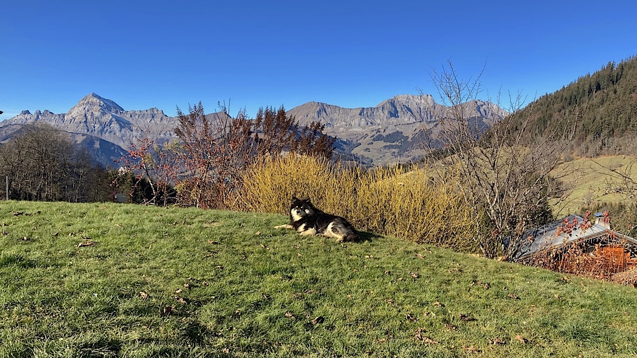 La chaine des Aravis en automne