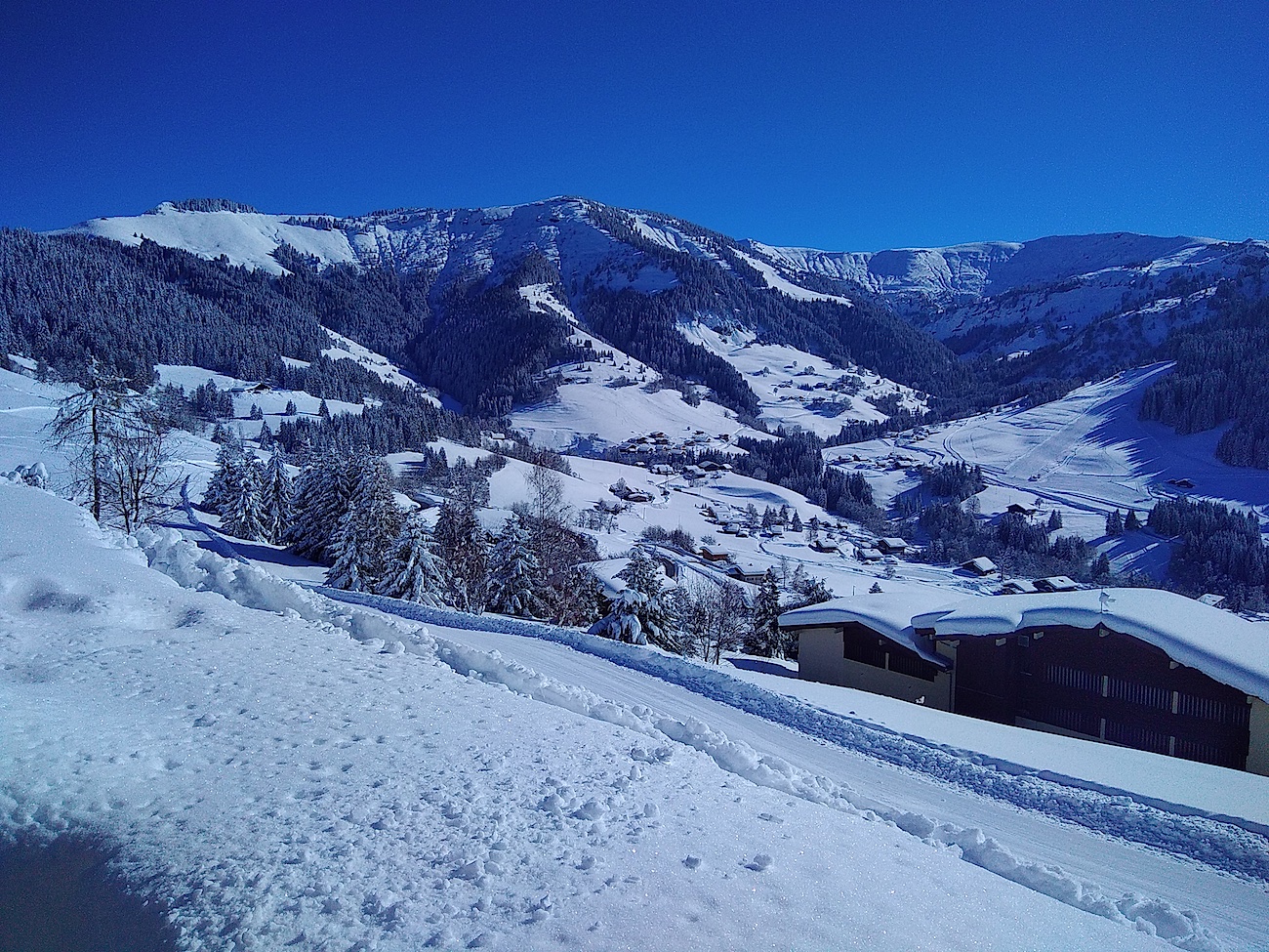 Piste d'accès entre la Pizzeria et le chalet Lachat