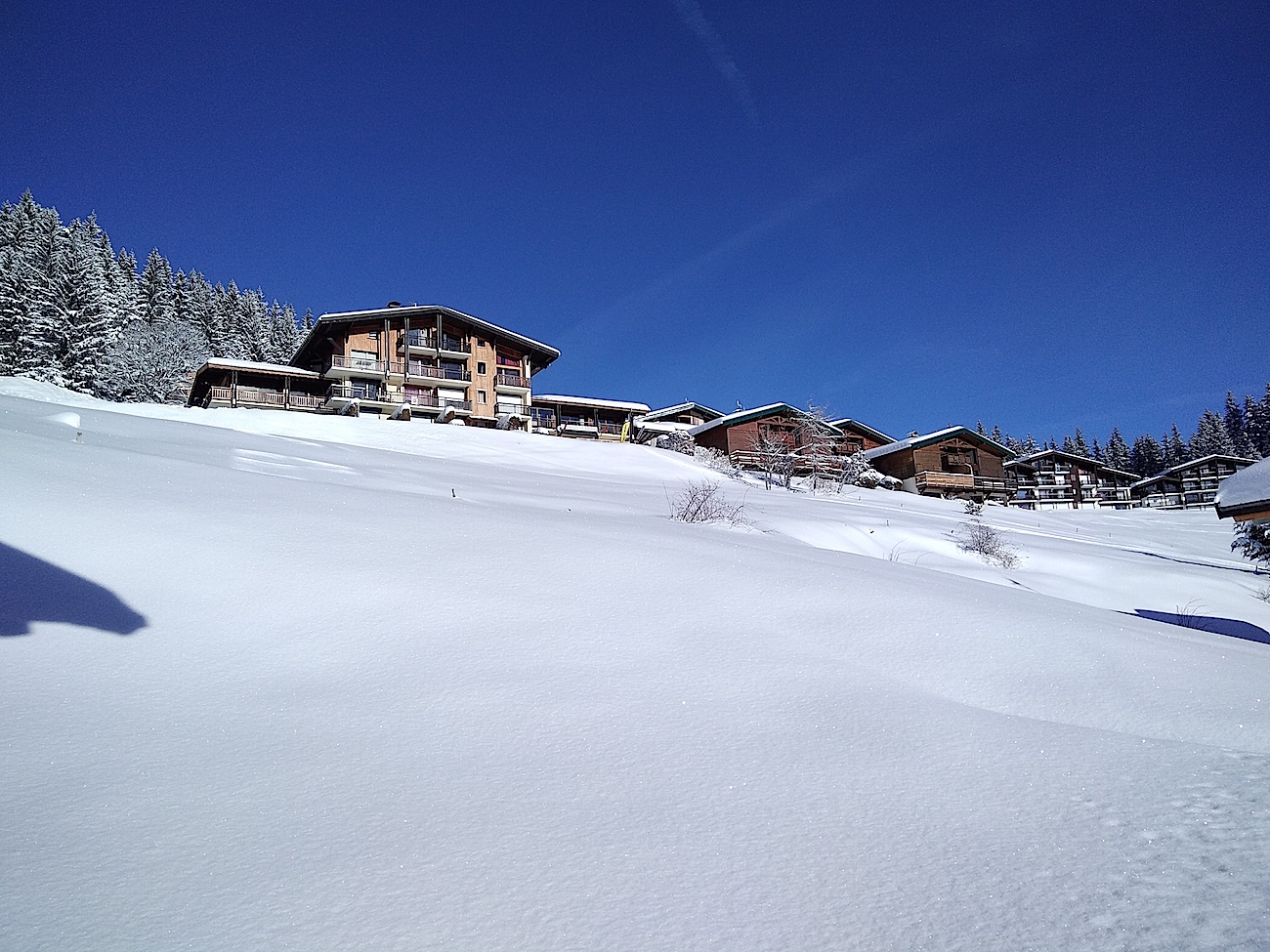 Piste d'accès au niveau des petits buissons