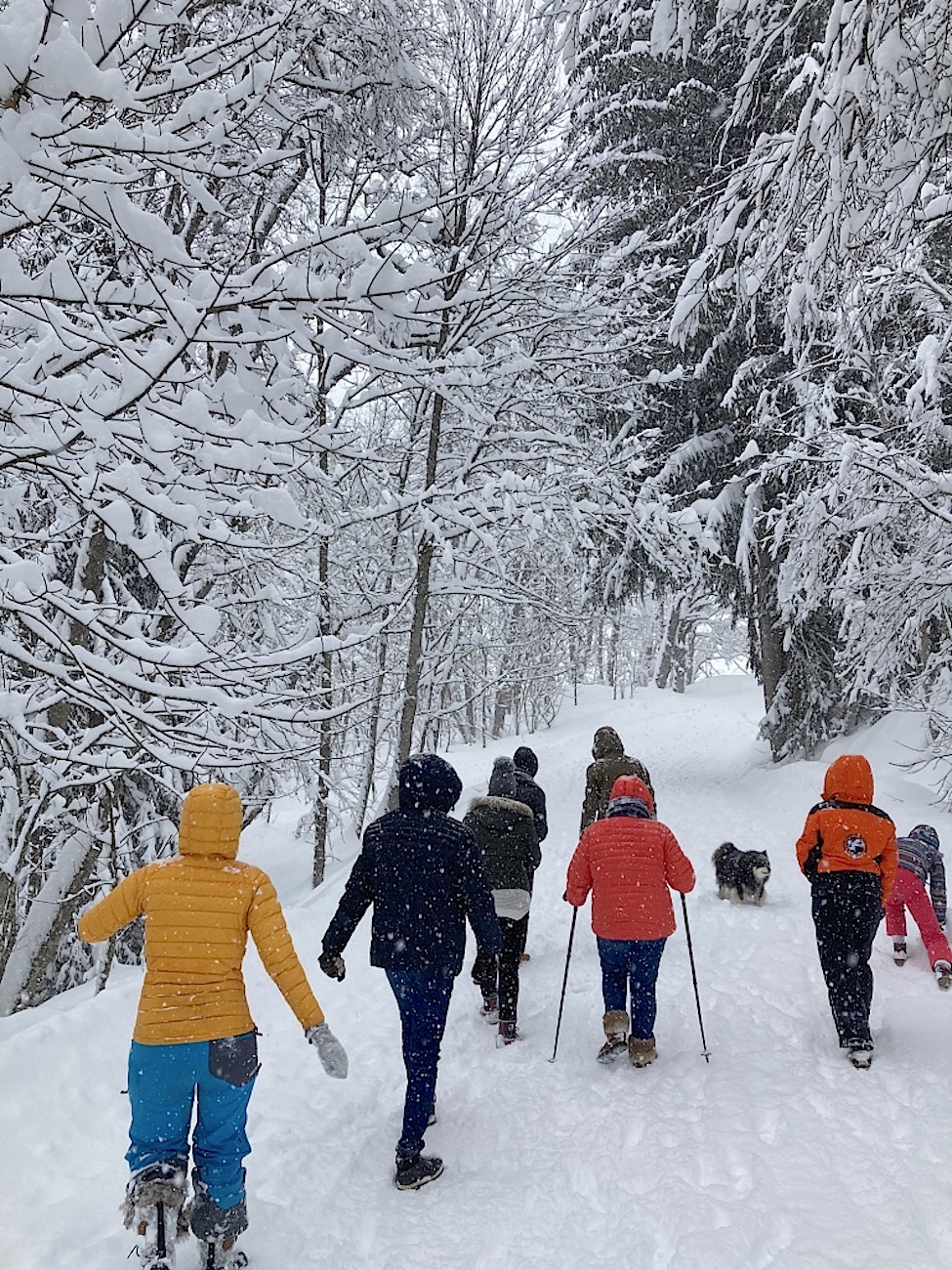 Chemin de randonnée à 500m des chalets