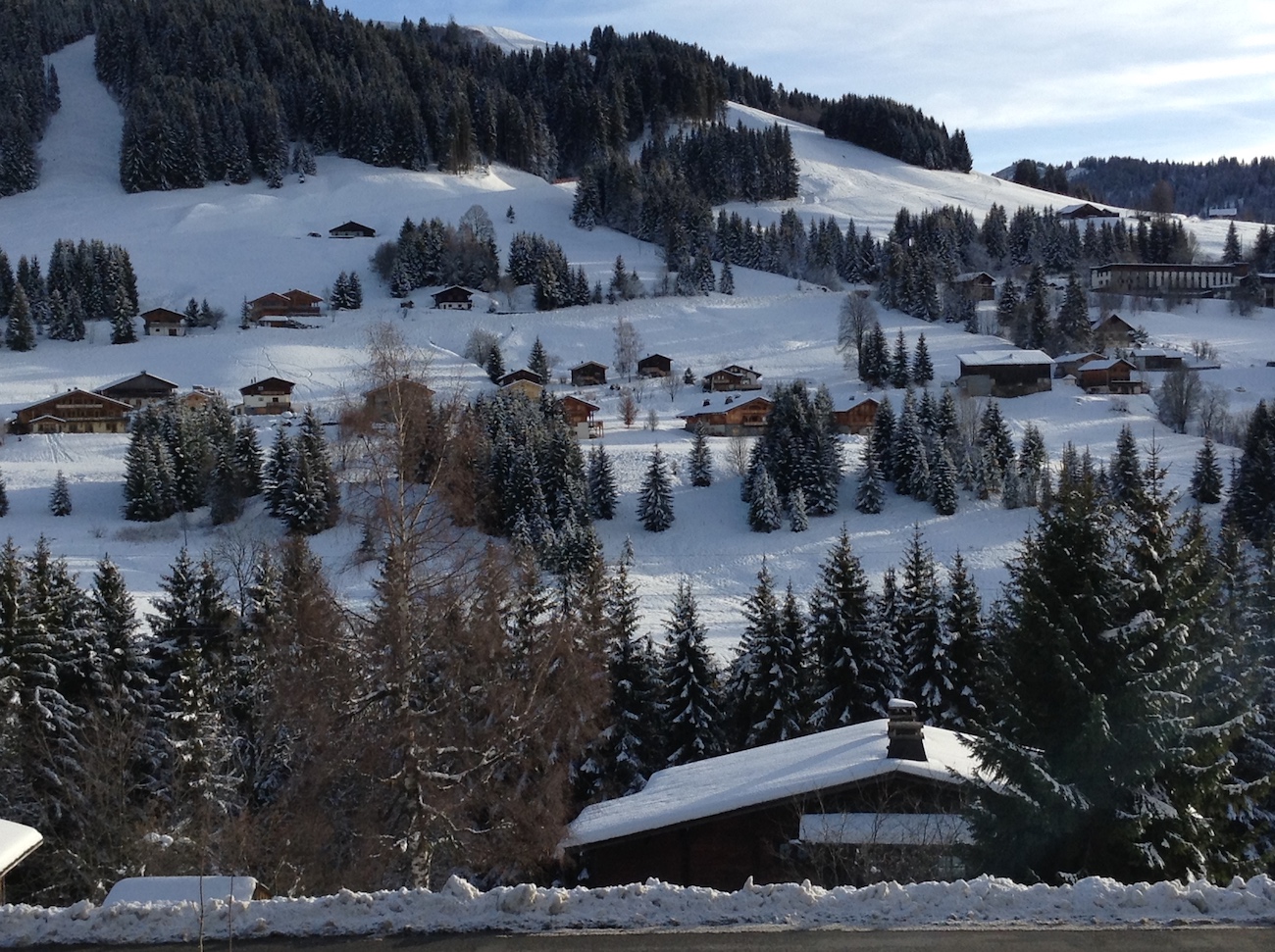 Vue sur les pistes du Mont Rond