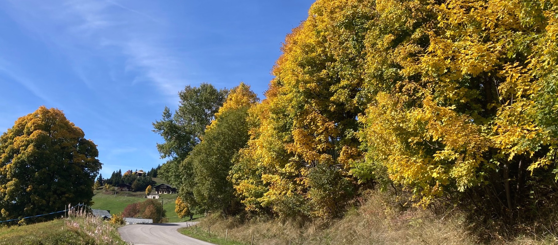 chalet Lachat en automne