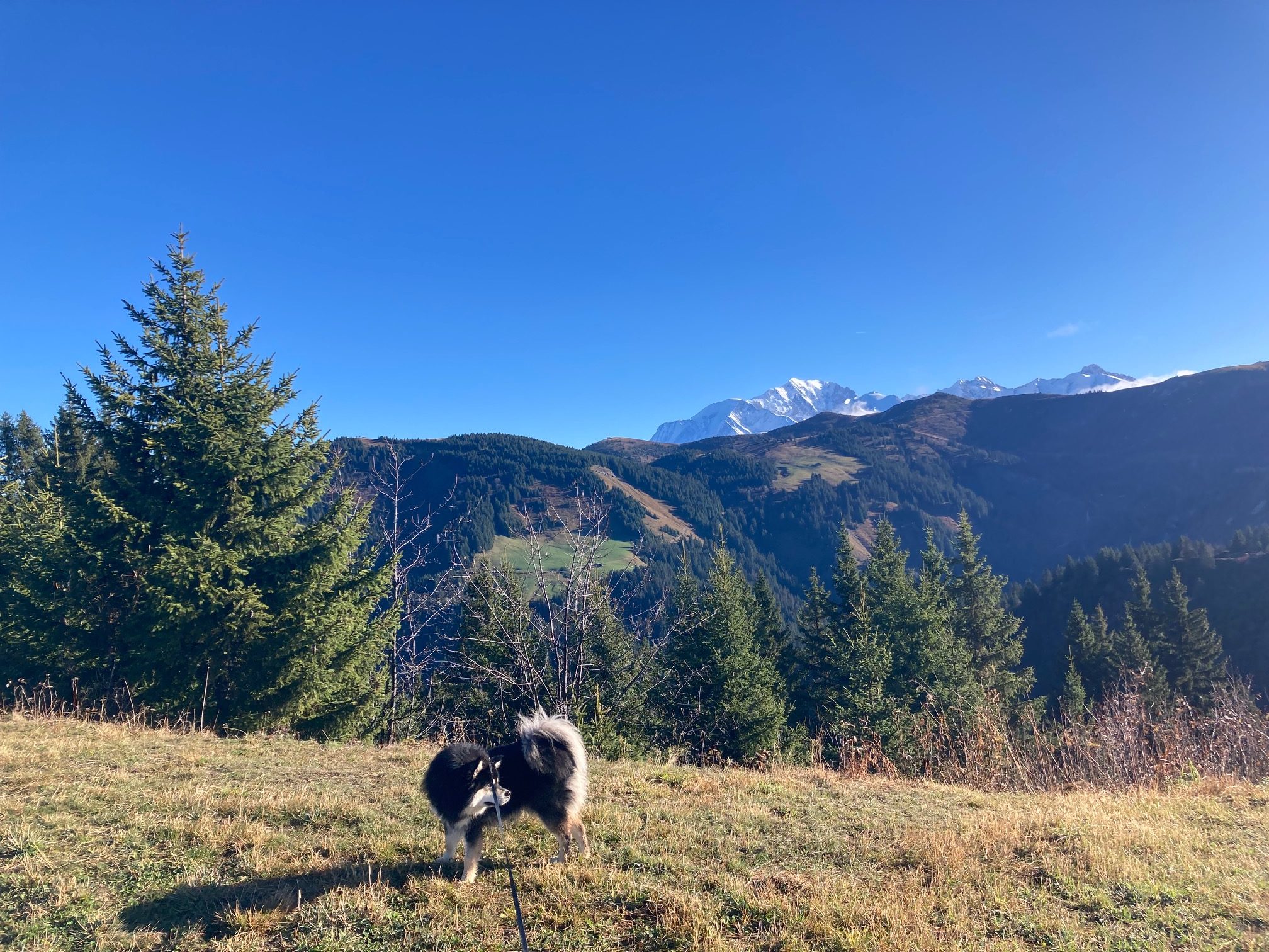 Randonnée en novembre