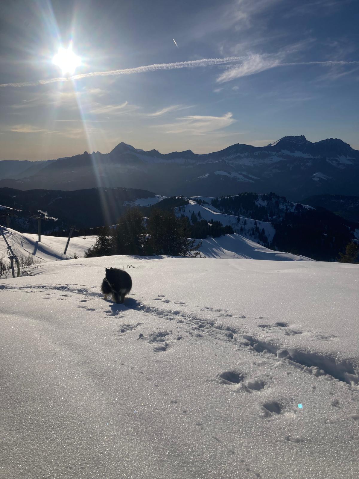 En ski de randonnée